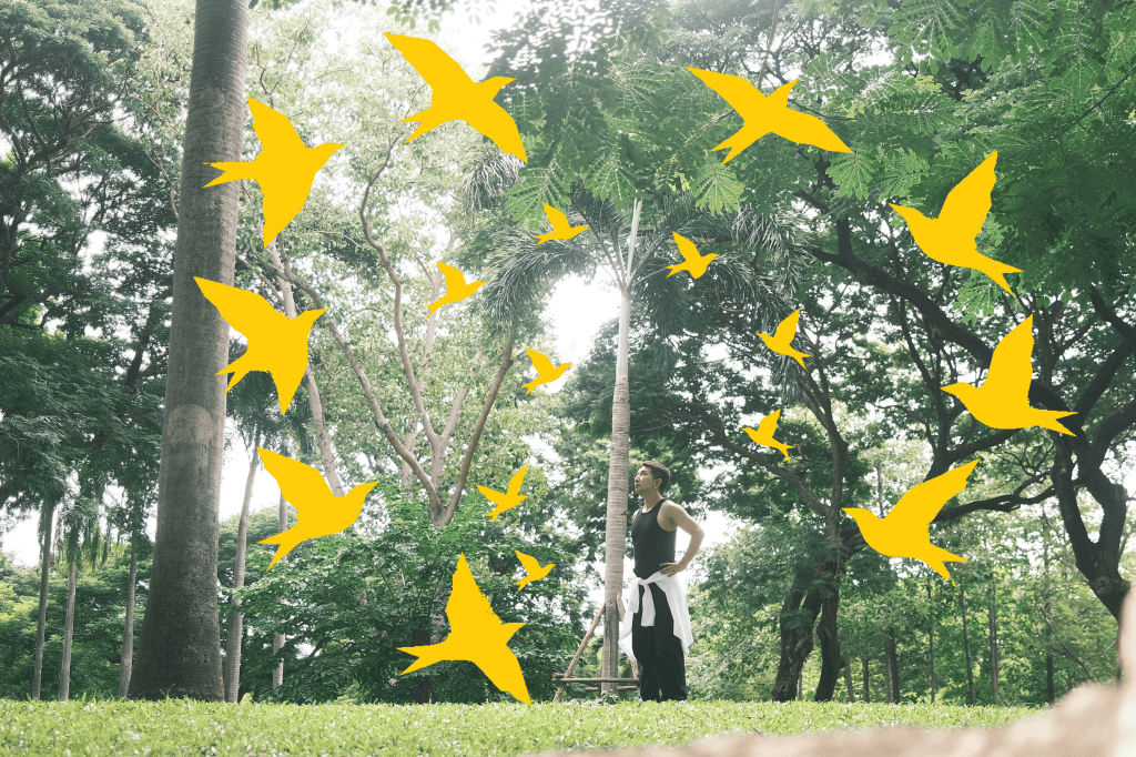 Harris standing beneath tall trees in a green park, surrounded by illustrated yellow birds